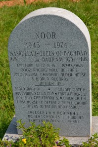Noor's Headstone (With Utmost Thanks to Ms. Charlotte Famer)
