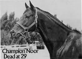 Noor Obituary (Photo from Horseandman)